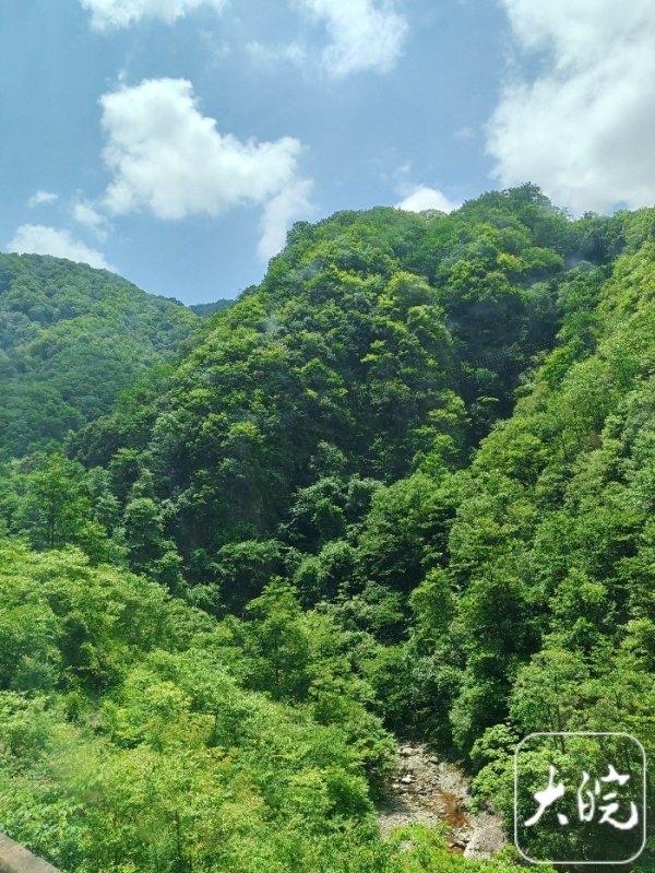 大鑫优配资讯 2025全国新兴主流媒体巴中行丨 新版《梦境光雾山》大型实景演出震撼开演_大皖新闻 | 安徽网